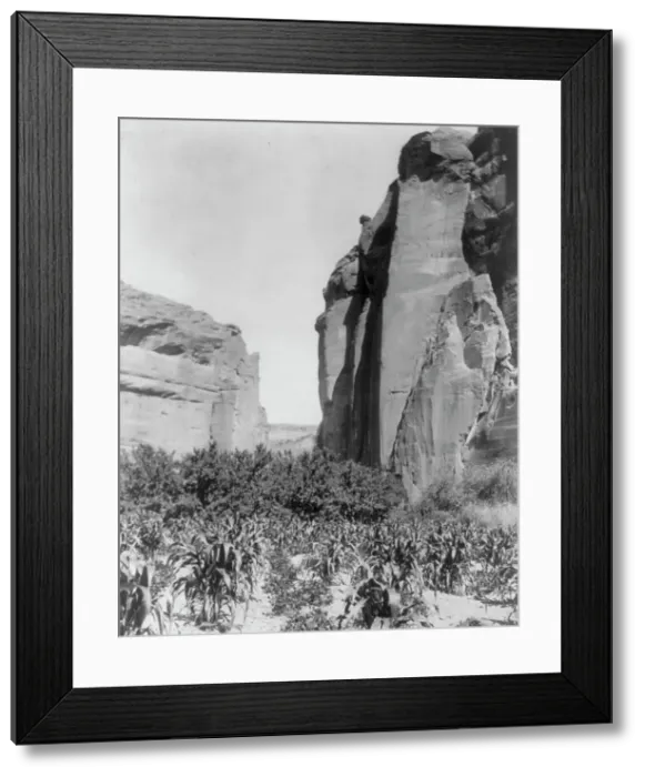 Framed Print : A Navaho farm, c1906. Creator: Edward Sheriff Curtis Framed Print : A Navaho farm, c1906. Creator: Edward Sheriff Curtis
