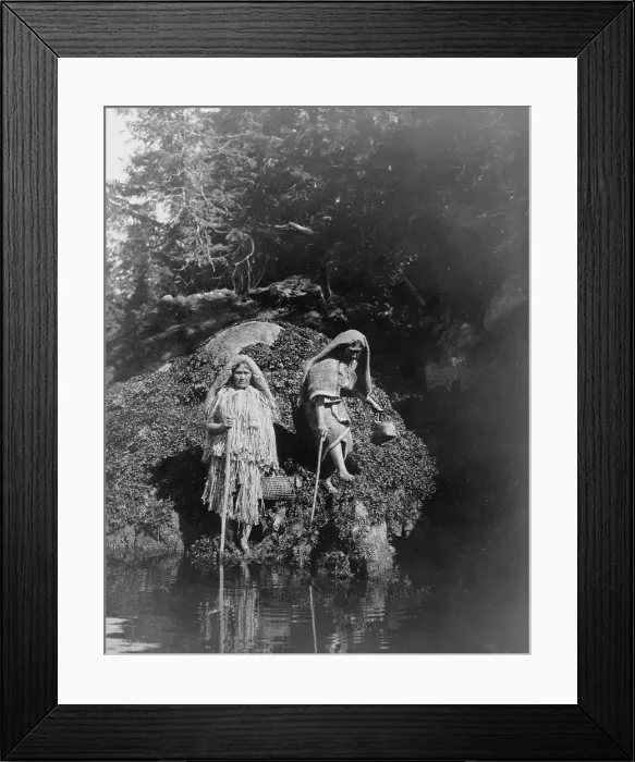 Framed Print : Gathering seaweed-Clayoquot, c1910. Creator: Edward Sheriff Curtis Framed Print : Gathering seaweed-Clayoquot, c1910. Creator: Edward Sheriff Curtis