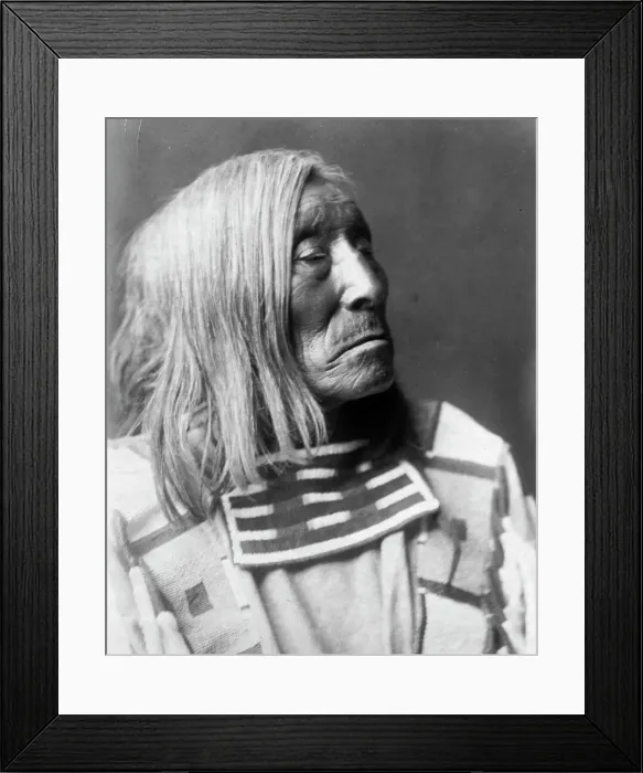 Framed Print : Lone Tree, an Apsaroke Indian, head-and-shoulders portrait, facing right, c1908. Creator: Edward Sheriff Curtis Framed Print : Lone Tree, an Apsaroke Indian, head-and-shoulders portrait, facing right, c1908. Creator: Edward Sheriff Curtis