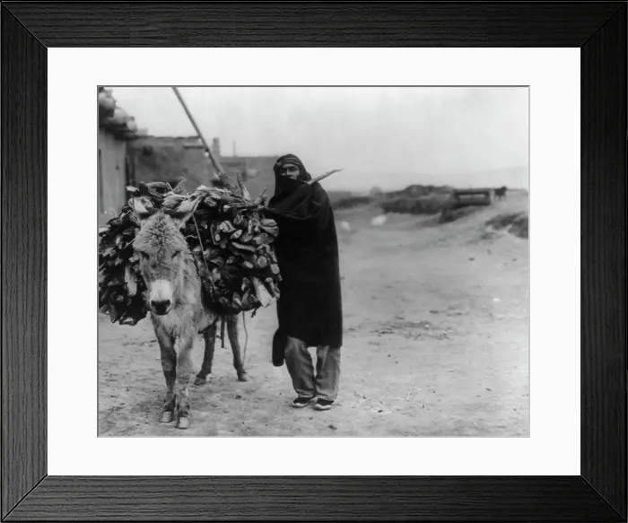 Framed Print : A load of fuel-Zuni, c1903. Creator: Edward Sheriff Curtis Framed Print : A load of fuel-Zuni, c1903. Creator: Edward Sheriff Curtis