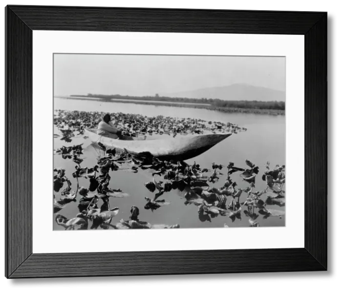 Framed Print : The wokas season-Klamath, c1923. Creator: Edward Sheriff Curtis Framed Print : The wokas season-Klamath, c1923. Creator: Edward Sheriff Curtis