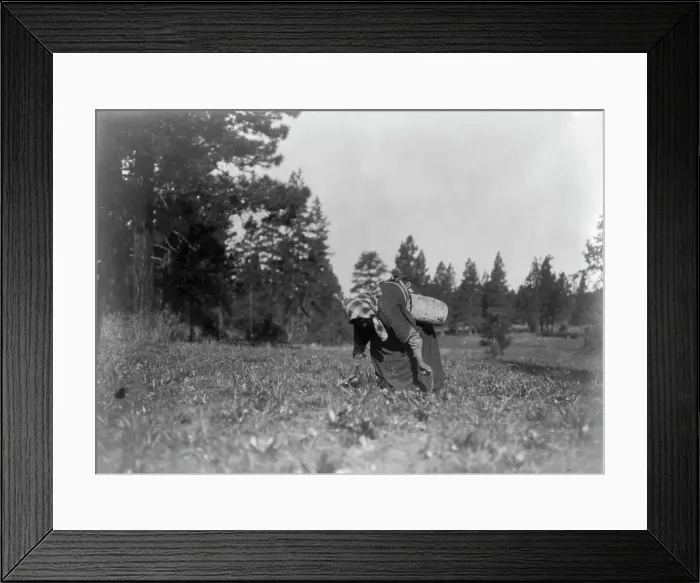 Framed Print : The piyake gatherer, c1910. Creator: Edward Sheriff Curtis Framed Print : The piyake gatherer, c1910. Creator: Edward Sheriff Curtis
