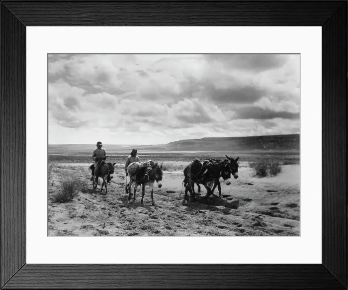 Framed Print : Burros and Moki men on the road, c1900. Creator: Edward Sheriff Curtis