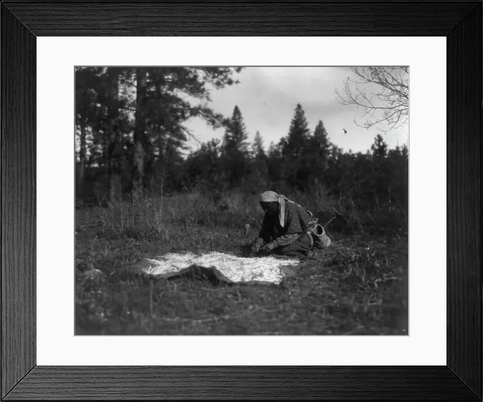 Framed Print : Drying Piahe-Yakima, 1909, c1910. Creator: Edward Sheriff Curtis Framed Print : Drying Piahe-Yakima, 1909, c1910. Creator: Edward Sheriff Curtis