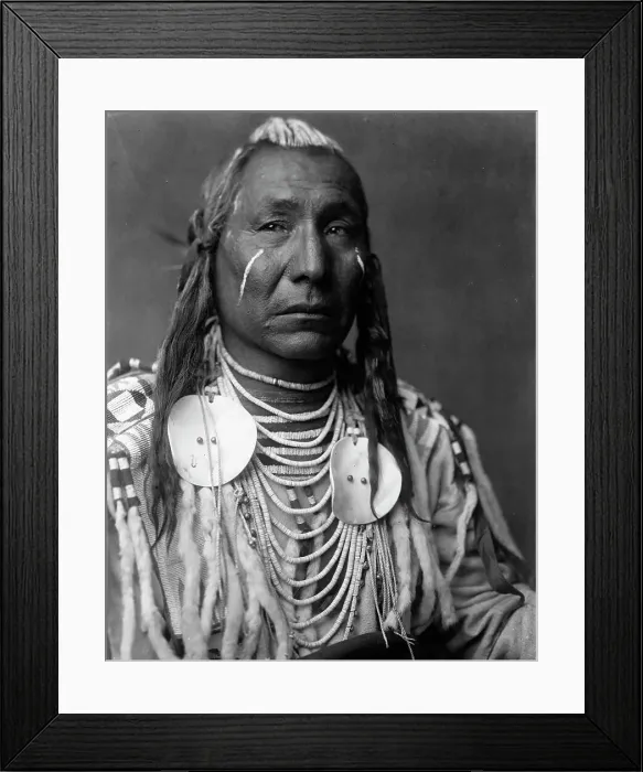 Framed Print : Red Wing-Apsaroke, c1908. Creator: Edward Sheriff Curtis Framed Print : Red Wing-Apsaroke, c1908. Creator: Edward Sheriff Curtis