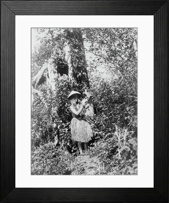 Framed Print : Quinault berry picker, c1913. Creator: Edward Sheriff Curtis Framed Print : Quinault berry picker, c1913. Creator: Edward Sheriff Curtis