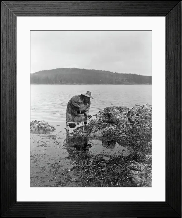 Framed Print : Gathering abalones-Nakoaktok, c1910. Creator: Edward Sheriff Curtis Framed Print : Gathering abalones-Nakoaktok, c1910. Creator: Edward Sheriff Curtis