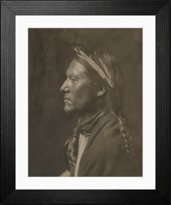 Framed Print : Pine Tree, 1905. Creator: Edward Sheriff Curtis Framed Print : Pine Tree, 1905. Creator: Edward Sheriff Curtis
