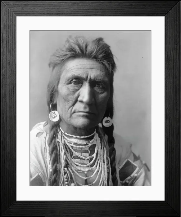 Framed Print : Wolf, c1908. Creator: Edward Sheriff Curtis Framed Print : Wolf, c1908. Creator: Edward Sheriff Curtis