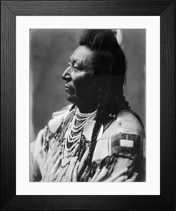 Framed Print : Plenty Coups, Crow Indian, head-and-shoulders portrait, facing left, pompadour, temple... c1908. Creator: Edward Sheriff Curtis Framed Print : Plenty Coups, Crow Indian, head-and-shoulders portrait, facing left, pompadour, temple... c1908. Creator: Edward Sheriff Curtis
