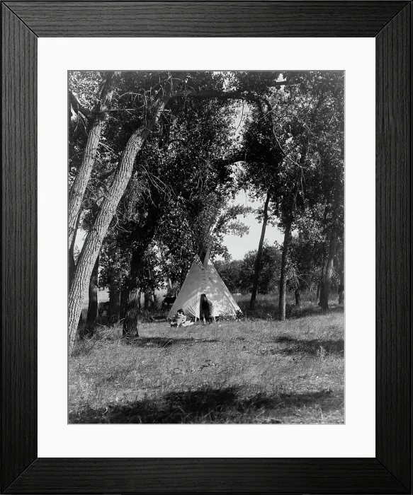 Framed Print : Camp in the cottonwoods-Cheyenne, c1910. Creator: Edward Sheriff Curtis Framed Print : Camp in the cottonwoods-Cheyenne, c1910. Creator: Edward Sheriff Curtis