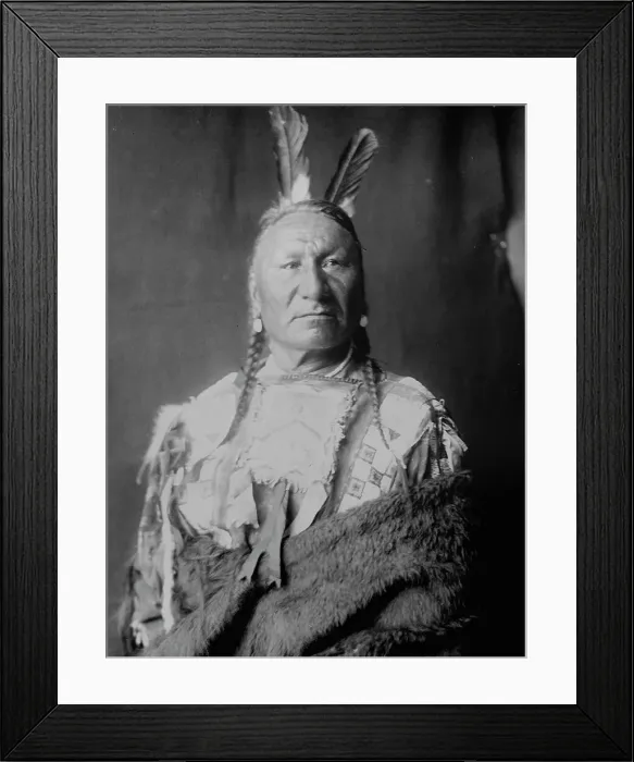 Framed Print : Yellow Horse-Yanktonai, half-length portrait, standing, facing slightly right, with long... c1908. Creator: Edward Sheriff Curtis Framed Print : Yellow Horse-Yanktonai, half-length portrait, standing, facing slightly right, with long... c1908. Creator: Edward Sheriff Curtis