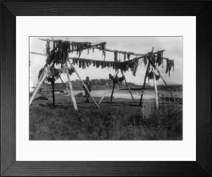 Framed Print : Eskimos in Alaska: Drying whale meat, Hooper Bay, c1929. Creator: Edward Sheriff Curtis Framed Print : Eskimos in Alaska: Drying whale meat, Hooper Bay, c1929. Creator: Edward Sheriff Curtis