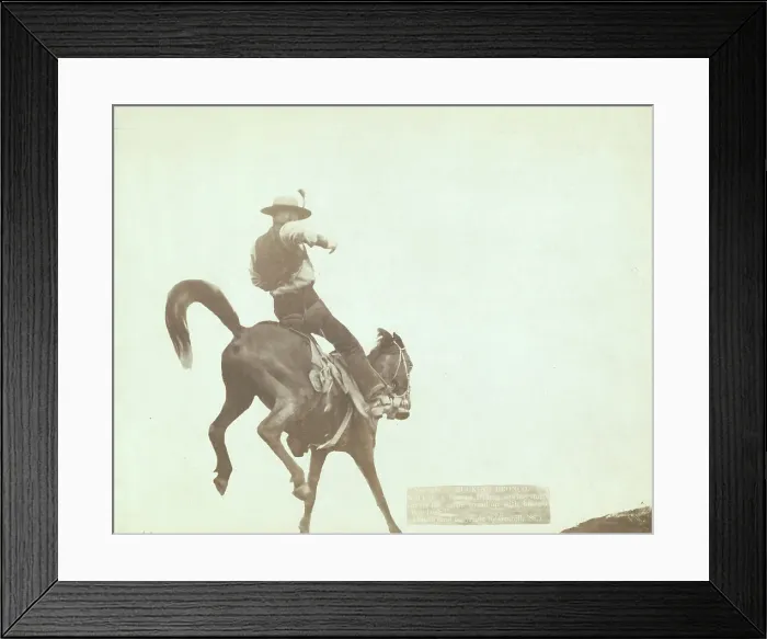 Framed Print : Bucking Bronco Ned Coy, a famous Dakota cowboy, starts out for the cattle round-u... 1888. Creator: John C. H. Grabill Framed Print : Bucking Bronco Ned Coy, a famous Dakota cowboy, starts out for the cattle round-u... 1888. Creator: John C. H. Grabill