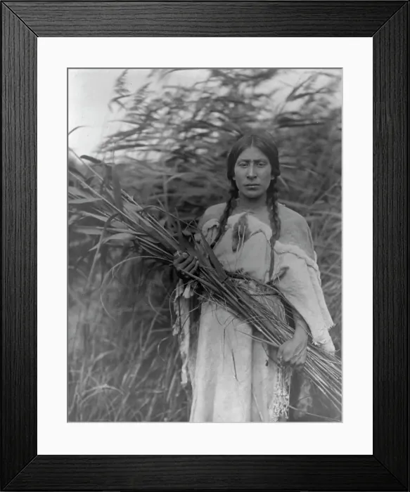 Framed Print : The rush gatherer, c1908. Creator: Edward Sheriff Curtis Framed Print : The rush gatherer, c1908. Creator: Edward Sheriff Curtis