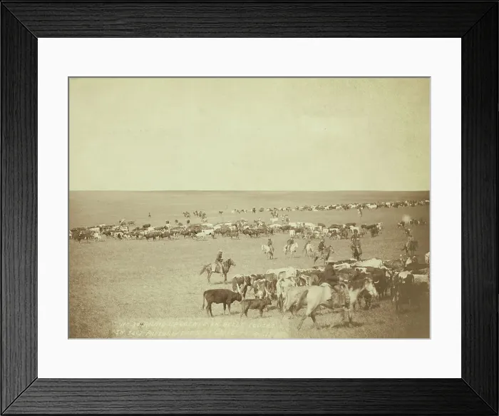Framed Print : Round-up scenes on Belle Fouche [sic] in 1887, 1887. Creator: John C. H. Grabill