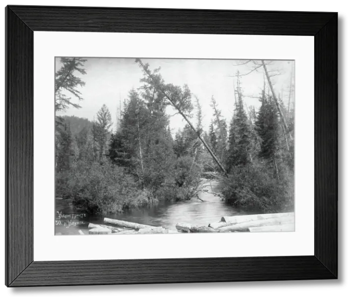 Framed Print : Udungui trade route: Udunga River, end of 19th century. Creator: Nikolai Apollonovich Charushin Framed Print : Udungui trade route: Udunga River, end of 19th century. Creator: Nikolai Apollonovich Charushin