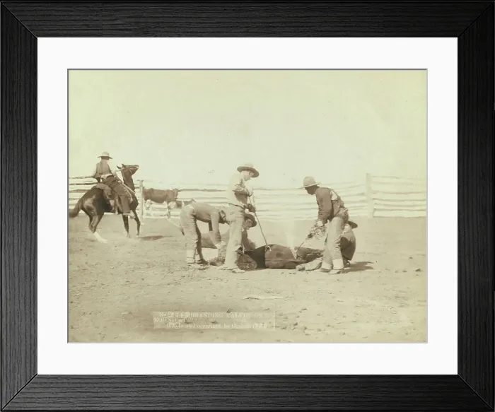 Framed Print : Branding calves on roundup, 1888. Creator: John C. H. Grabill Framed Print : Branding calves on roundup, 1888. Creator: John C. H. Grabill
