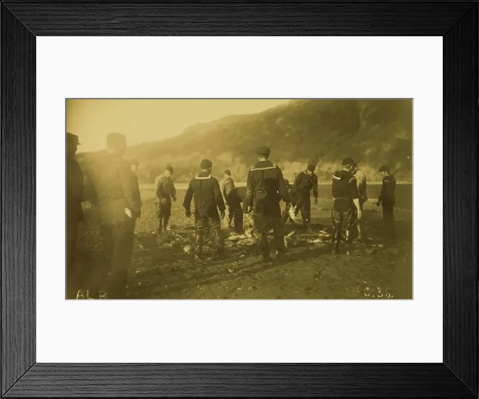 Framed Print : Men removing fish from seine, Baileys Harbor, 1894 or 1895. Creator: Alfred Lee Broadbent Framed Print : Men removing fish from seine, Baileys Harbor, 1894 or 1895. Creator: Alfred Lee Broadbent