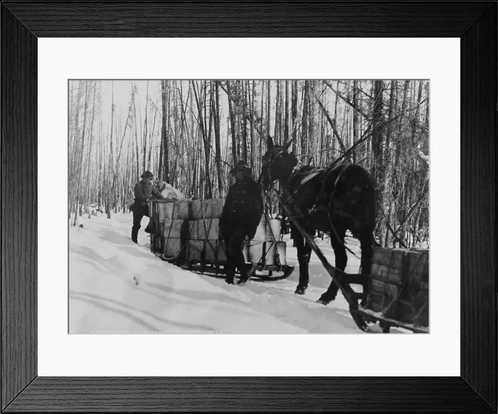 Framed Print : Taking a government load to Copper Center, between c1900 and 1927. Creator: Hunt, Phinney S Framed Print : Taking a government load to Copper Center, between c1900 and 1927. Creator: Hunt, Phinney S
