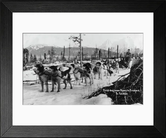 Framed Print : First dog team to go from Nome to Seward, between c1900 and c1930. Creator:s Sexton Framed Print : First dog team to go from Nome to Seward, between c1900 and c1930. Creator:s Sexton