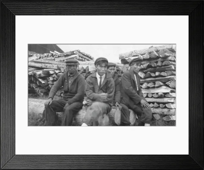 Framed Print : Men sitting on logs, between c1900 and 1916. Creator: Unknown Framed Print : Men sitting on logs, between c1900 and 1916. Creator: Unknown
