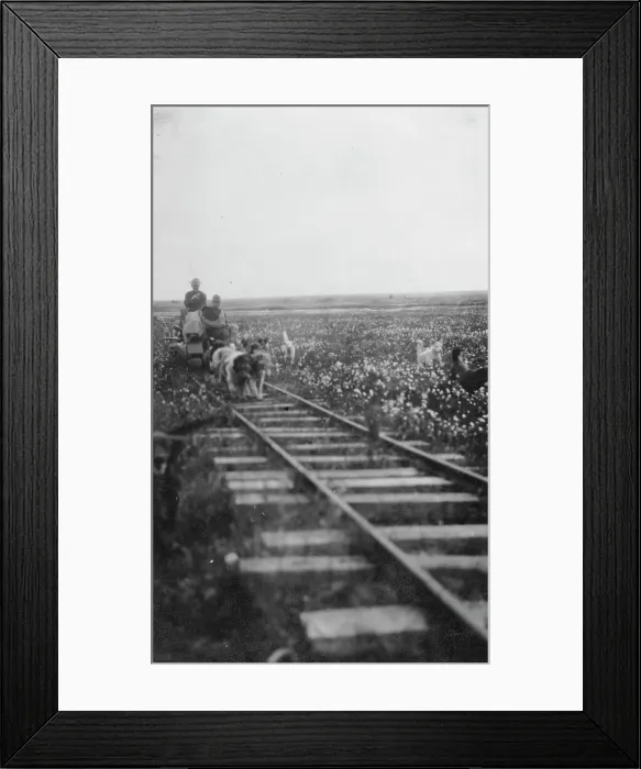 Framed Print : Pupmobile, between c1900 and 1916. Creator: Unknown Framed Print : Pupmobile, between c1900 and 1916. Creator: Unknown