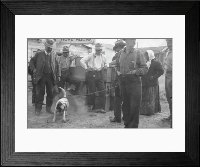 Framed Print : In front of Haly's Road House, Jim Haly holds a dog, between c1900 and 1916. Creator: Unknown Framed Print : In front of Haly's Road House, Jim Haly holds a dog, between c1900 and 1916. Creator: Unknown
