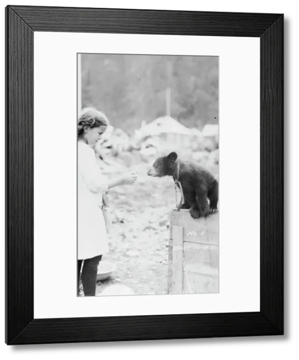 Framed Print : Girl and bear cub, between c1900 and 1916. Creator: Unknown Framed Print : Girl and bear cub, between c1900 and 1916. Creator: Unknown