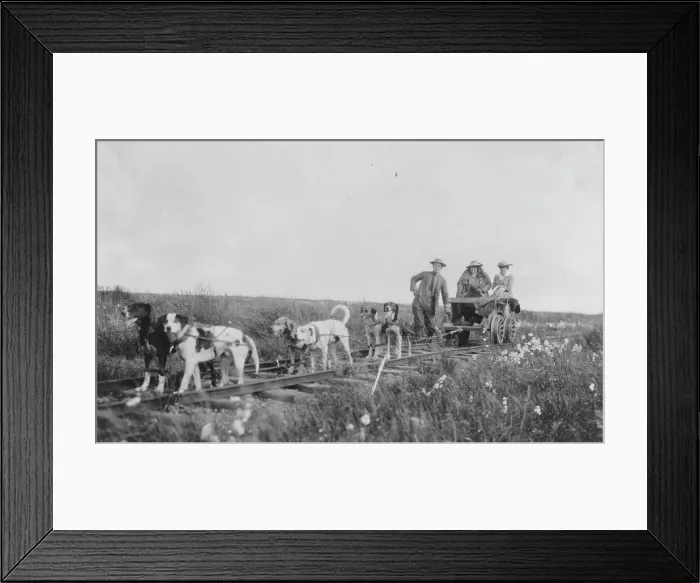 Framed Print : Pup-mobile, between c1900 and 1916. Creator: Unknown Framed Print : Pup-mobile, between c1900 and 1916. Creator: Unknown