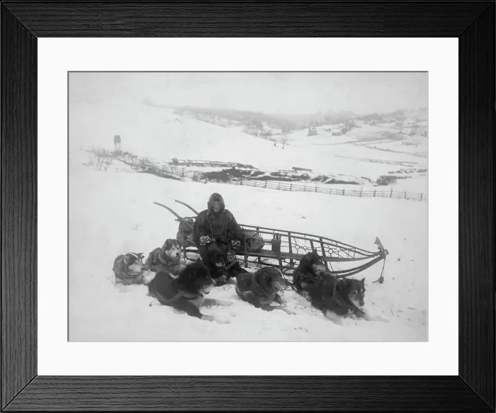 Framed Print : Dog team carrying mail, between c1900 and 1923. Creator: Unknown Framed Print : Dog team carrying mail, between c1900 and 1923. Creator: Unknown