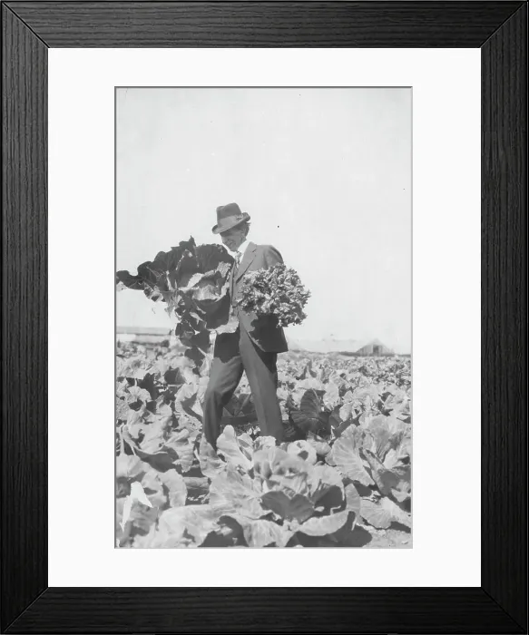 Framed Print : Frank G. Carpenter on Mr. Rickert's farm, between c1900 and 1916. Creator: Unknown