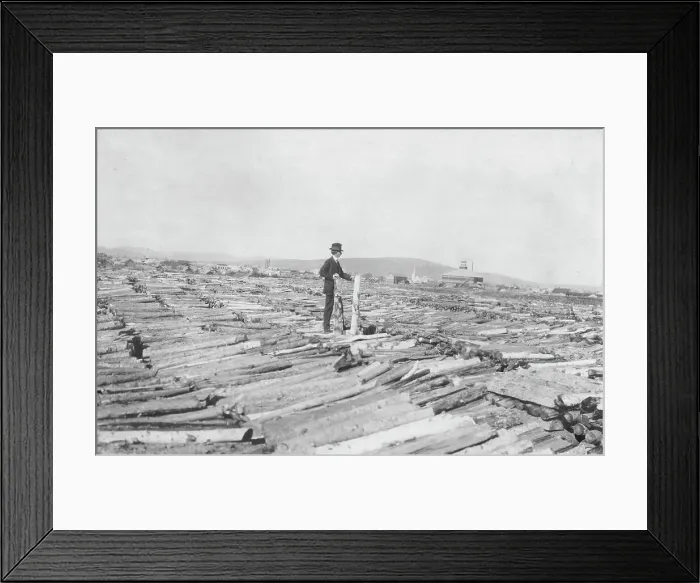 Framed Print : Frank G. Carpenter on woodpile, between c1900 and 1916. Creator: Unknown Framed Print : Frank G. Carpenter on woodpile, between c1900 and 1916. Creator: Unknown