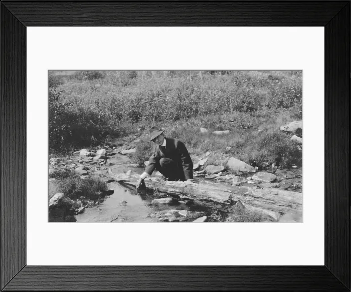 Framed Print : Frank G. Carpenter, between c1900 and 1916. Creator: Unknown Framed Print : Frank G. Carpenter, between c1900 and 1916. Creator: Unknown