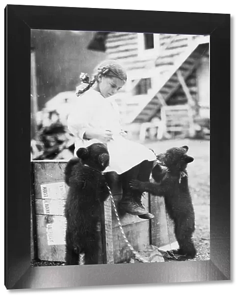 Girl with bear cubs, between c1900 and c1930. Creator: Unknown