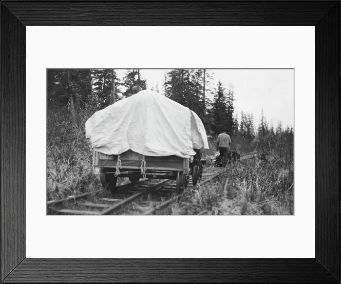 Framed Print : Dog team pulling railroad cart, between c1900 and c1930. Creator: Unknown Framed Print : Dog team pulling railroad cart, between c1900 and c1930. Creator: Unknown