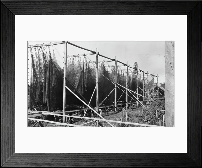 Framed Print : Drying nets, between c1900 and c1930. Creator: Unknown Framed Print : Drying nets, between c1900 and c1930. Creator: Unknown