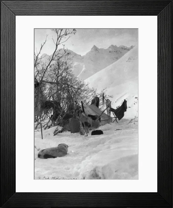 Framed Print : Explorer's tent and belongings anchored securely so they won't be blown away, c1900-c1930. Creator: Unknown Framed Print : Explorer's tent and belongings anchored securely so they won't be blown away, c1900-c1930. Creator: Unknown