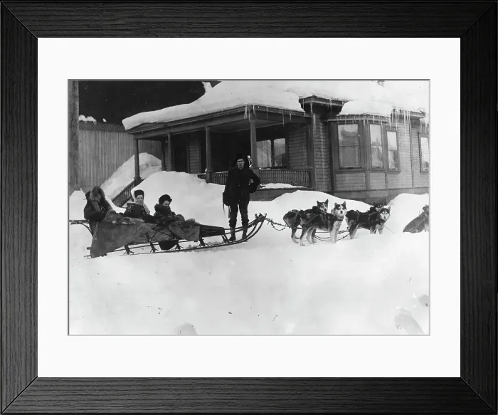 Framed Print : Transportation by dog sled, between c1900 and c1930. Creator: Unknown Framed Print : Transportation by dog sled, between c1900 and c1930. Creator: Unknown