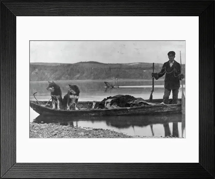 Framed Print : Trapper with hides and dogs in canoe, between c1900 and c1930. Creator: Unknown Framed Print : Trapper with hides and dogs in canoe, between c1900 and c1930. Creator: Unknown