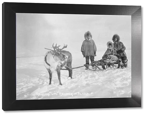 Traveling with reindeer, between c1900 and c1930. Creator: Unknown