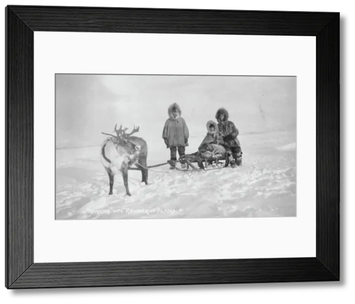 Framed Print : Traveling with reindeer, between c1900 and c1930. Creator: Unknown Framed Print : Traveling with reindeer, between c1900 and c1930. Creator: Unknown