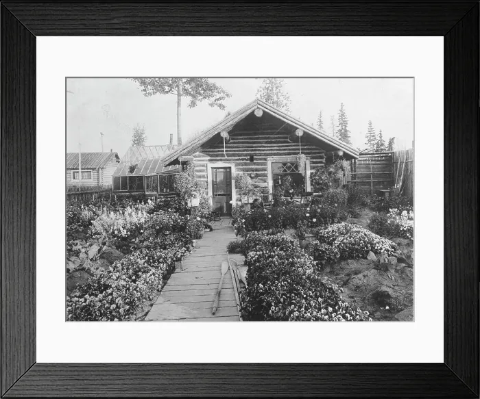 Framed Print : Log cabin, between c1900 and 1923. Creator: Unknown Framed Print : Log cabin, between c1900 and 1923. Creator: Unknown