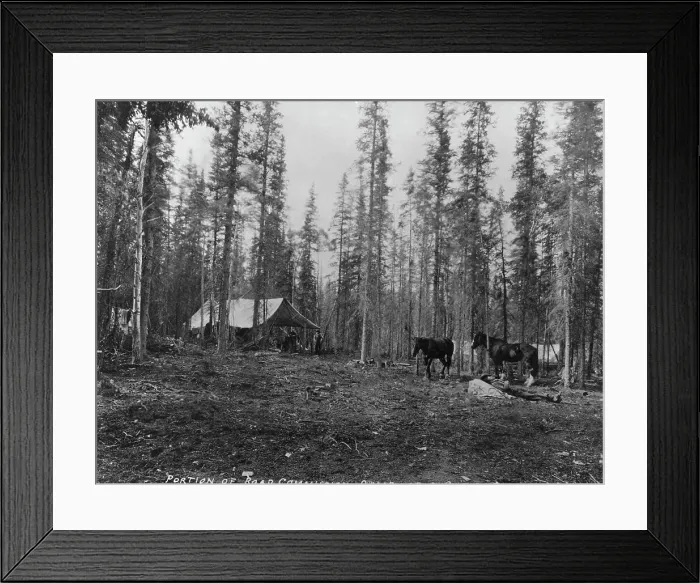 Framed Print : Road Commission camp near Copper Center, between c1900 and 1923. Creator: Unknown Framed Print : Road Commission camp near Copper Center, between c1900 and 1923. Creator: Unknown