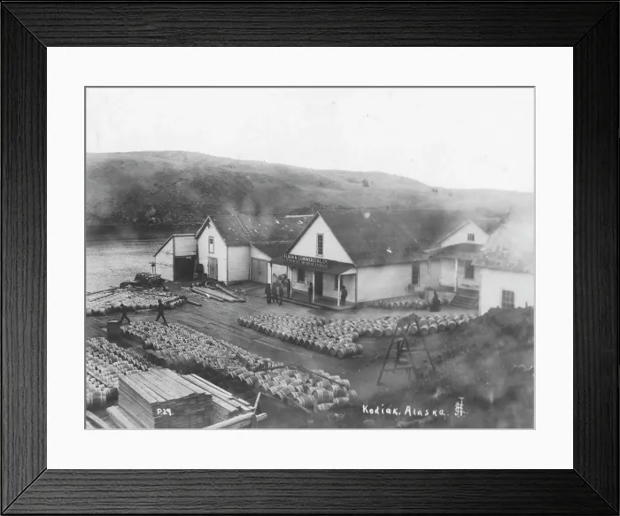 Framed Print : Salmon works, between c1900 and c1930. Creator: Unknown Framed Print : Salmon works, between c1900 and c1930. Creator: Unknown