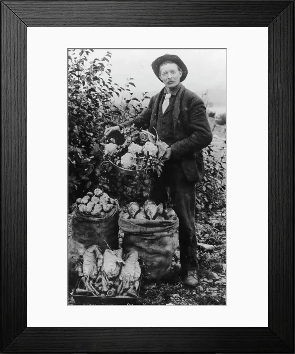 Framed Print : Vegetables, between c1900 and c1930. Creator: Unknown