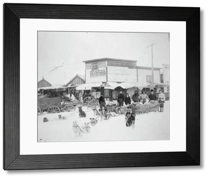 Framed Print : Dog team ready to start with provisions, between c1900 and 1927. Creator: Unknown Framed Print : Dog team ready to start with provisions, between c1900 and 1927. Creator: Unknown