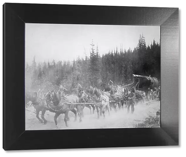 Horse team on the Overland Trail, between c1900 and 1927. Creator: Unknown