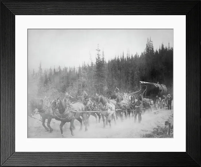 Framed Print : Horse team on the Overland Trail, between c1900 and 1927. Creator: Unknown Framed Print : Horse team on the Overland Trail, between c1900 and 1927. Creator: Unknown