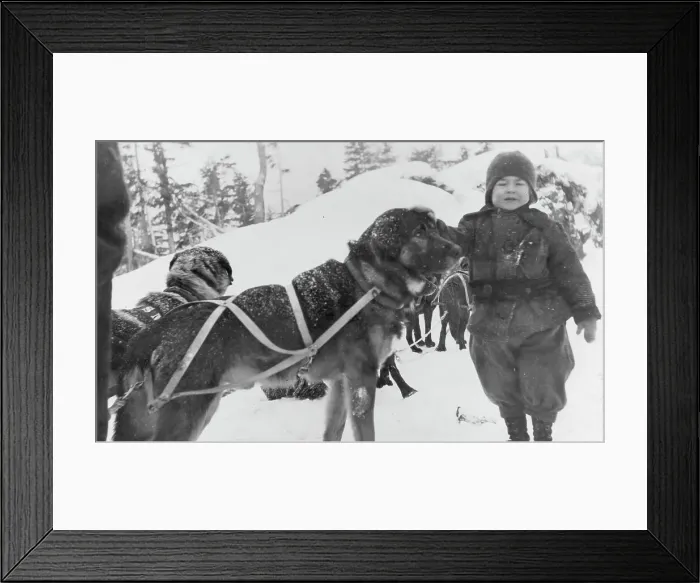 Framed Print : Child and dogs, between c1900 and c1930. Creator: Unknown Framed Print : Child and dogs, between c1900 and c1930. Creator: Unknown